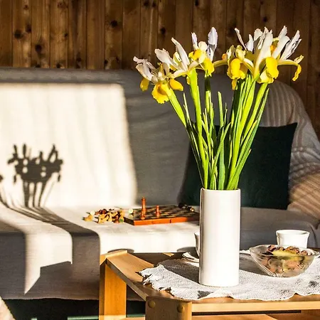 House Ksenija Villa Gornje Sitno